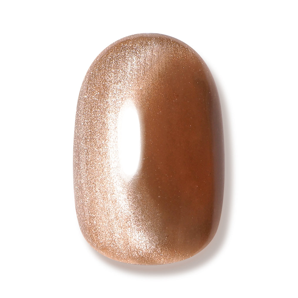 Magnet Gel Polish MG6 "Sepia Magnet"