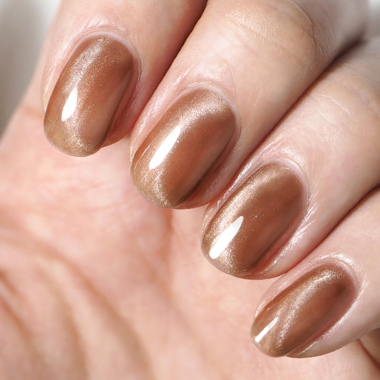 Magnet Gel Polish MG6 "Sepia Magnet"