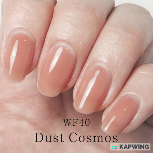 Gel Polish WF40 "Dust Cosmos"