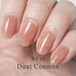 Gel Polish WF40 "Dust Cosmos"